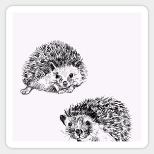 Cute Hedgehogs Print Sticker